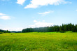 © LIGHTFIELD STUDIOS - green valley with trees and cloudy sky in Durmitor massif, Montenegro