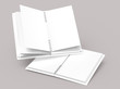 Blank paper notebooks mockup