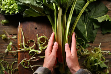 Wall Mural - Bunch of rhubarbs in hands