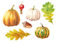 Hand Drawn Watercolor Pumpkin Set With Red Berry, Acorn And Leaves, Isolated On White Background. Food Art Illustration. Fall Season Clip-art, Can Be Used For Thanksgiving Design.