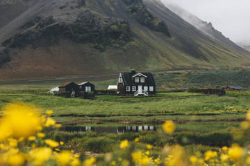 Wall Mural - Beautiful house on green hill in Iceland with yellow field flowers on foreground