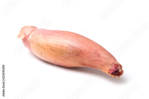 Fényképezés closeup of long Shallot on white background