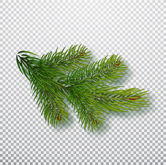 spruce branch isolated on background. christmas tree branch. realistic christmas vector illustration