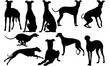 Greyhound Dog svg files cricut,  silhouette clip art, Vector illustration eps, Black Dog  overlay