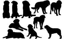 Saint Bernard Dog Svg Files Cricut,  Silhouette Clip Art, Vector Illustration Eps, Black Dog  Overlay