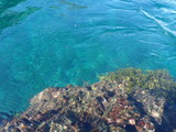 Fototapeta Do akwarium - ヒリゾ浜の美しい水