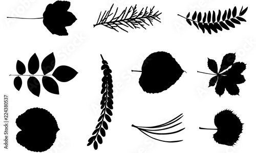 Download Leaf svg files cricut, leaves silhouette clip art, foliage Vector illustration eps, Black ...