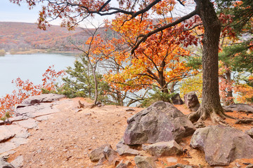 Wall Mural - wisconsin ice age nature background. autumn landscape with view on a lake from south shore hiking tr