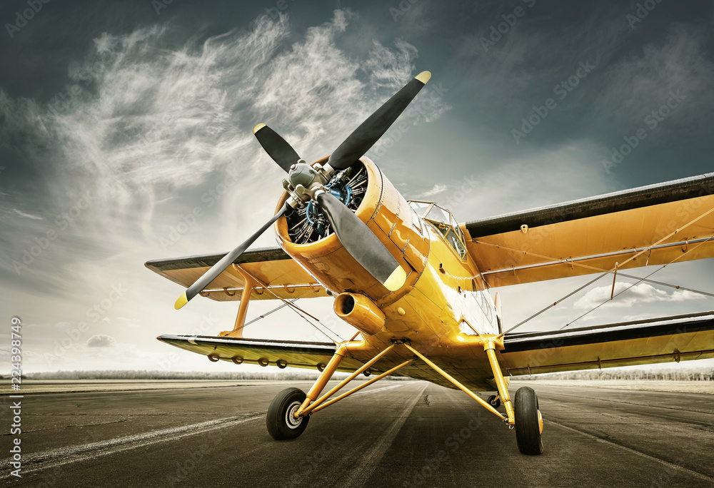 historical aircraft on a runway - obrazy, fototapety, plakaty 