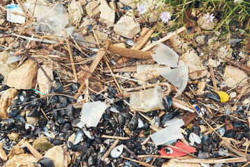 Wall Mural - Spilled garbage on the beach of the big city. Empty used dirty plastic bottles. Dirty sea sandy shore the Black Sea. Environmental pollution. Ecological problem. Bokeh moving waves in the background