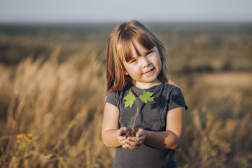 childs hands holding a small maple tree