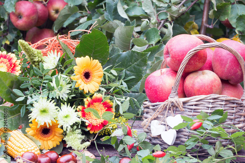 Herbst Dekoration Mit Apfel Im Weidenkorb Herbstblumen Hagebutten