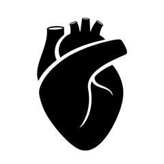 Wall Mural - Human heart medical vector icon