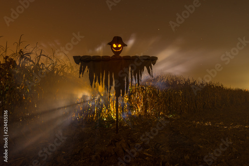 Cuadros en Lienzo Sinister scarecrow for Halloween