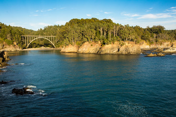 Wall Mural - Bridge, cliffs, and redwood forest in Mendocino, California