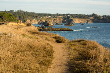 Wall Mural - Hiking trail near the cliffs, and ocean in Mendocino, California