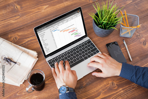 Cuadros en Lienzo Man using project management software at work