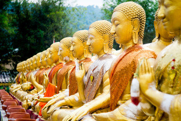 Row of Golden Buddha Statue