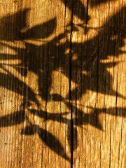 Midday shadow on wooden surface texture