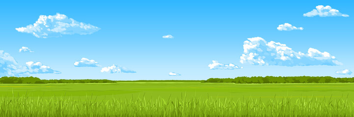 panorama - the summer field