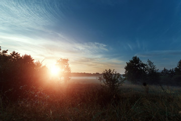 Wall Mural - Beautiful foggy landscape, sunset. The fog glowing in the sunlight, above the meadow grass.