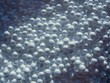 zoomed white expanded polystyrene pellets for production plastic bags