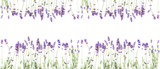 Flowers composition. Frame made of fresh lavender flowers on white background. Lavender, floral background. Flat lay, top view, copy space, banner 