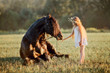 Little  girl with black friesian stallion 