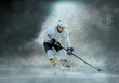 © Andrii IURLOV - Caucsian ice hockey Players in dynamic action in a professional