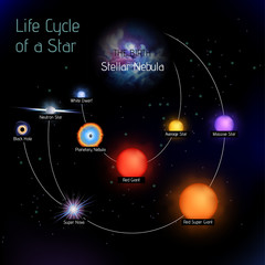 Sun life cycle vector in round shape