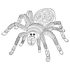 Adult coloring page with Halloween nasty spider