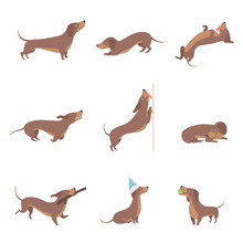 Funny Playful Purebred Brown Dachshund Dog Activities Set Vector Illustrations On A White Background