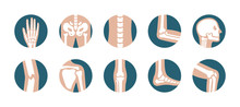 Set Of Human Joints And Bones. Vector Knee, Leg, Pelvis, Scapula, Skull, Elbow, Foot And Hand Icons. Orthopedic And Skeleton Symbols On White Background