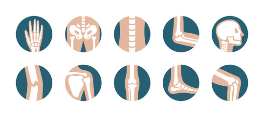 Set of human joints and bones. Vector knee, leg, pelvis, scapula, skull, elbow, foot and hand icons. Orthopedic and skeleton symbols on white background