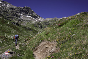 A hiker on a mountain trail, busy reaching the Refuge.