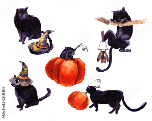 Download Set Of Halloween Holiday Symbol Illustration Hand Drawn Watercolor For Kids Cat Hat But Broom Candle Pumpkin Stock Photo Adobe Stock