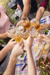 happy people outdoor toasting with rose wine while their al fresco picnic. focus on wine glasses.