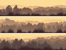 Horizontal Banners Of Deciduous Forest.