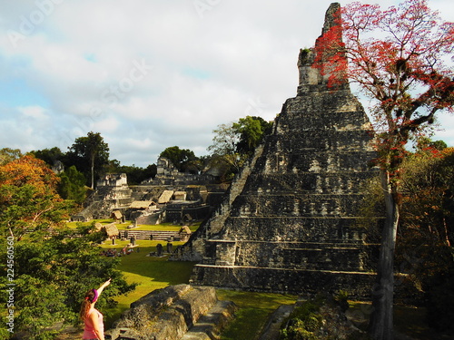 Zdjęcie XXL Życie w ruinach Tikal. Miasto Majów. Gwatemala