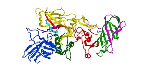 Sticker - Molecular structure of Anthrax toxin, 3D rendering