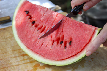 Woman slicing big sweet tasty watermelon