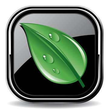 leaf icon