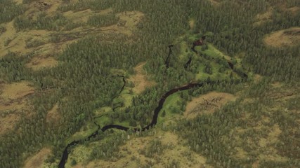 Wall Mural - River seen from the air