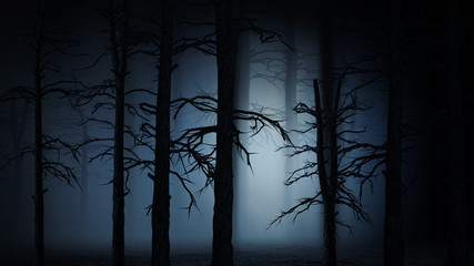 Wall Mural - Silhouette of a forest at night 
