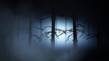 Wall Mural - Silhouette of a forest at night 