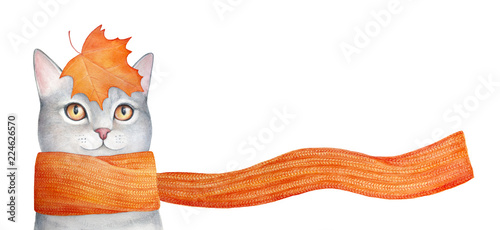 Cuadros en Lienzo Autumn vibes illustration: maple leaves falling down, knit scarf blowing in wind, smiling gray kitten looking forward
