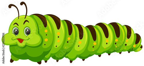 Fotografía Cute caterpillar on white background