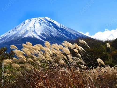 冠雪の富士山とススキの風景 秋 日本 Stock Photo Adobe Stock
