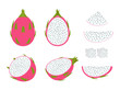 Set of dragon fruit isolated on white background - Vector illustration