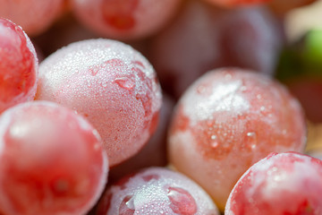 Wall Mural - Bunches of fresh ripe red grapes